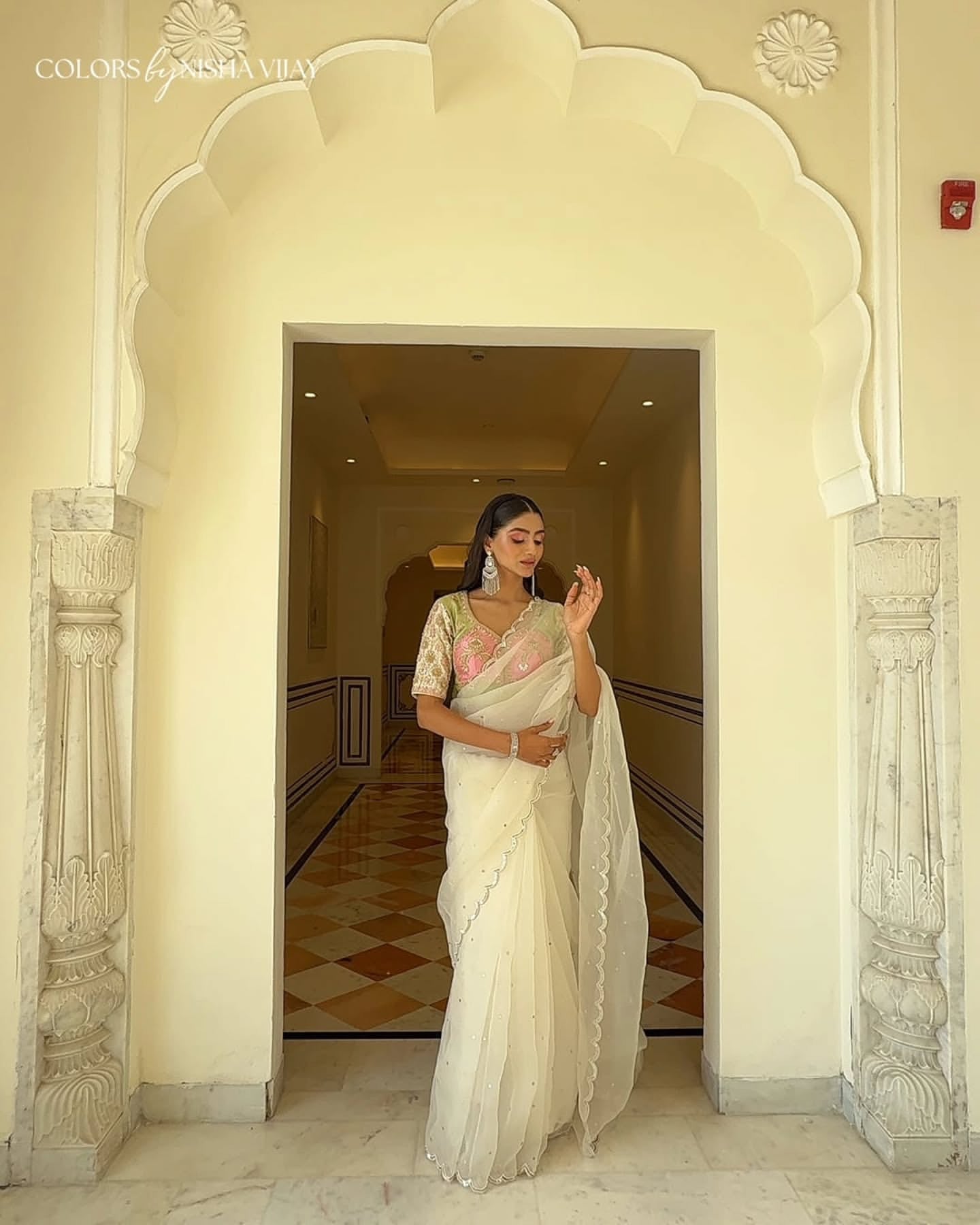 Choli-cut blouse, coarse/net-weave saree